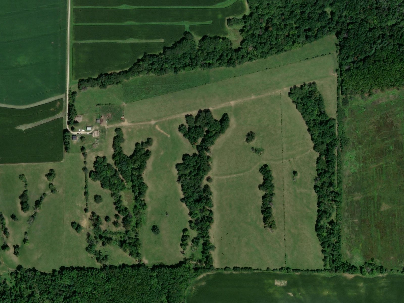 The farm today, in pasture and timber